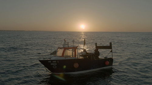 As Horas de Luz Bild 2