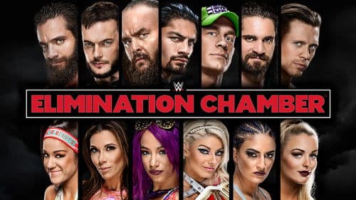 WWE Elimination Chamber 2018 Bild 2