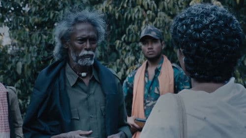 ତୁଳସୀ ଅପା Bild 6