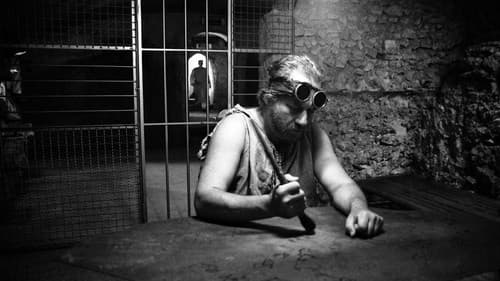 Il ronzio delle mosche Bild 1