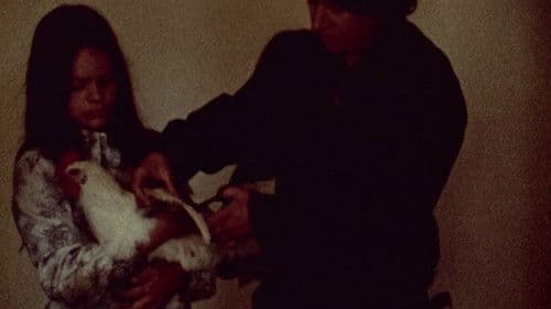 The Stars Are Beautiful Bild 2