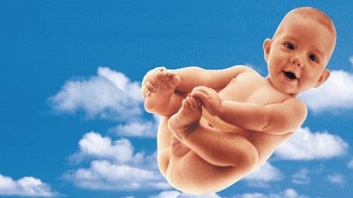 Garp und wie er die Welt sah Bild 4