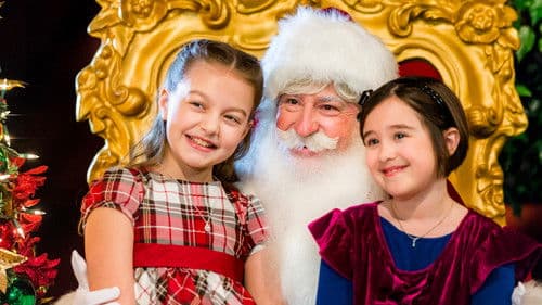 Eine Familie zu Weihnachten Bild 4