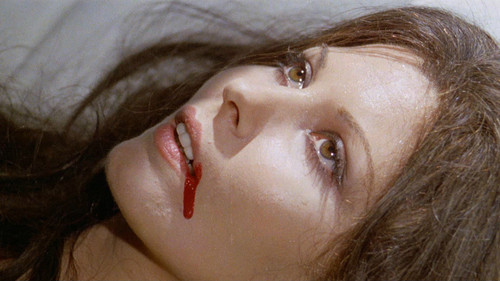 Die Farben der Nacht Bild 1