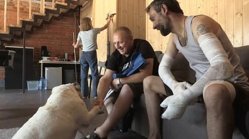 犬と戦争: ウクライナで私が見たこと Bild 4