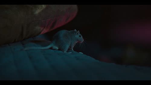 Damsel in Geekstress Bild 4