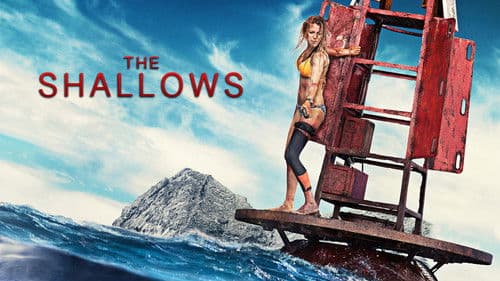 The Shallows: Gefahr aus der Tiefe Bild 5