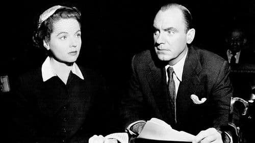 Criminal Lawyer Bild 2