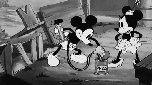 Campingfreuden Bild 6