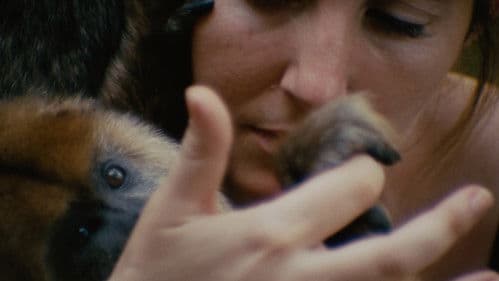 Monólogo colectivo Bild 2