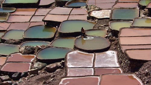 천상의 길 - 차마고도 극장판 Bild 3