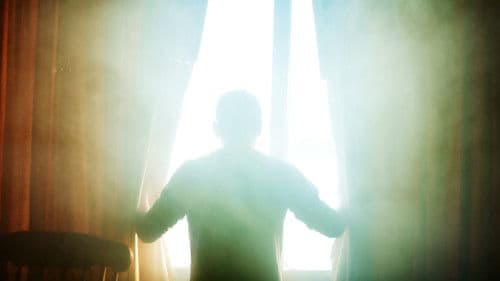 Jaula para perros Bild 1