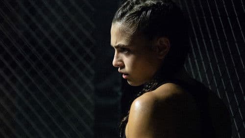 The Cage - Nella gabbia Bild 1