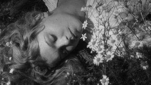 Ballade vom Soldaten Bild 3