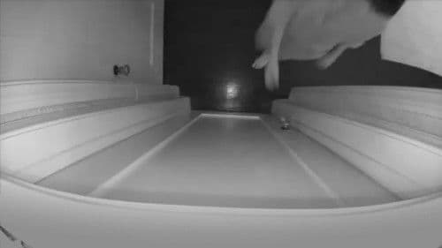 I Blame Society Bild 7