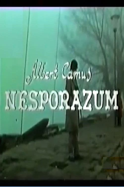 Nesporazum