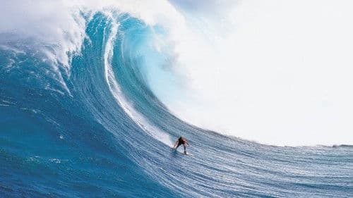 Step Into Liquid - Im Bann der Riesenwellen Bild 5