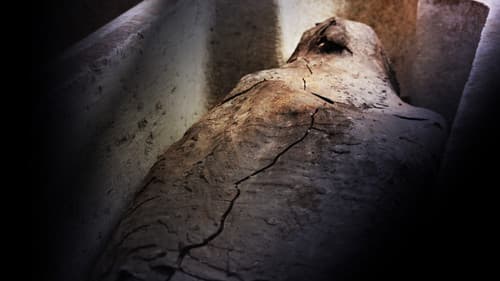 Königreich der Mumien Bild 3