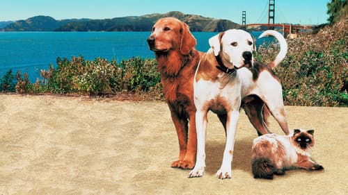 Ein tierisches Trio - Wieder unterwegs Bild 4