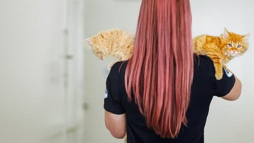 SPCA Rescue Bild 2