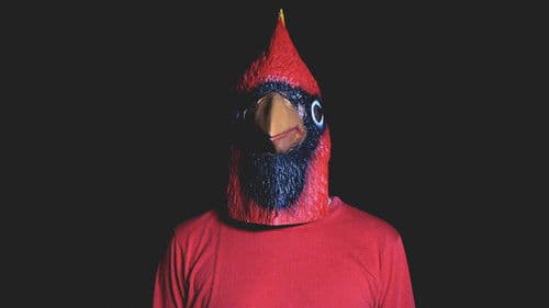 Wie ich lernte, die Zahlen zu lieben Bild 3