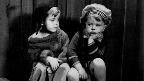 Das wilde Wagenrennen Bild 2