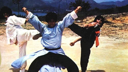 Todesgrüße von Bruce Lee Bild 3