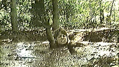 Damsel in Distress 3 Bild 2