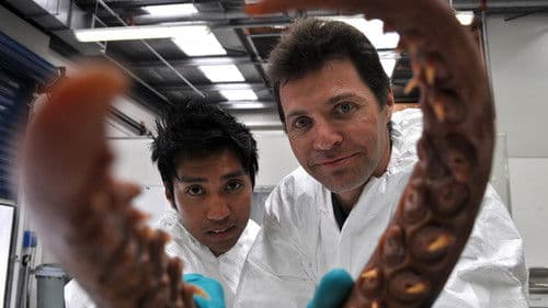 Beast Legends Bild 2