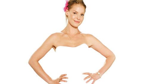 27 Dresses - Kleider machen Bräute Bild 4