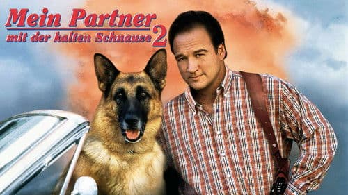 Mein Partner mit der kalten Schnauze 2 Bild 6