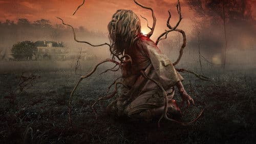 Eight for Silver Bild 7