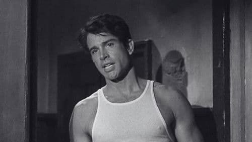 Bonnie und Clyde Bild 8