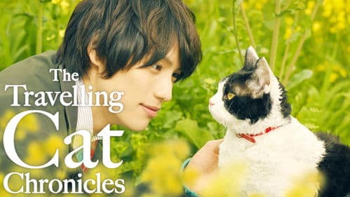 旅猫リポート Bild 3