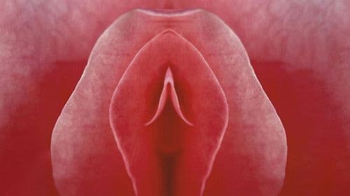 Mein Name ist Klitoris Bild 3