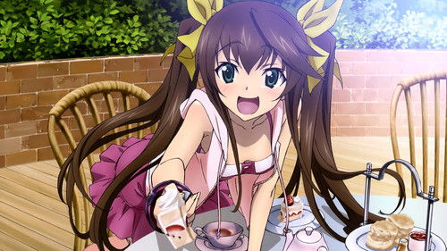 Infinite Stratos Bild 8