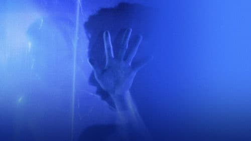 Sequin in a Blue Room Bild 8