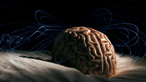 Tricky Memory Bild 4