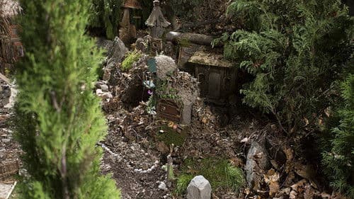 Forest Fairies Bild 3