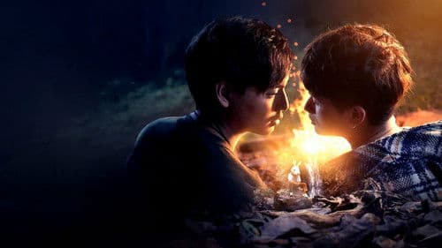 Lost in the Woods Bild 1