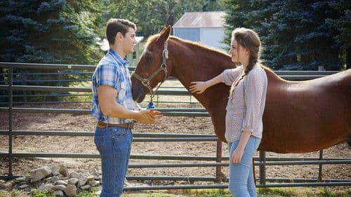 Wo dein Schatz ist, da ist auch dein Herz Bild 2