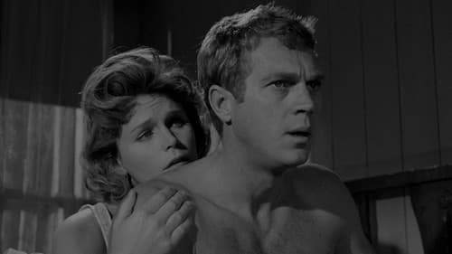 Die Lady und der Tramp Bild 5