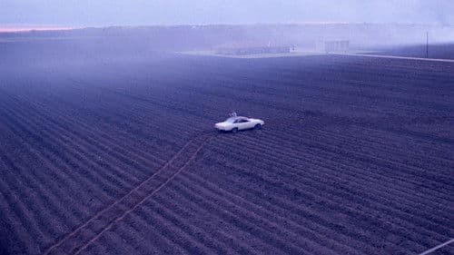 Blood Simple - Eine mörderische Nacht Bild 8