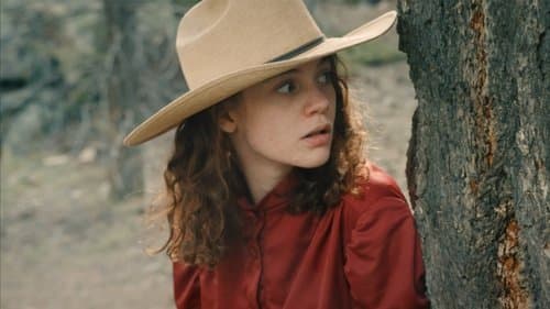 Shooting Stars Bild 1