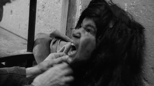 Der Wolfsjunge Bild 2