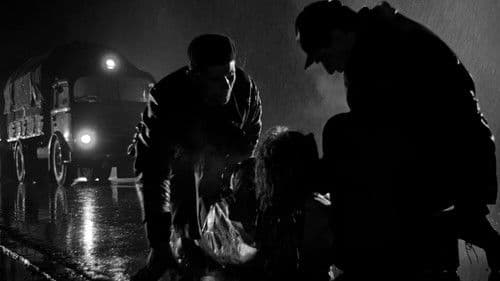 La donna del giorno Bild 2