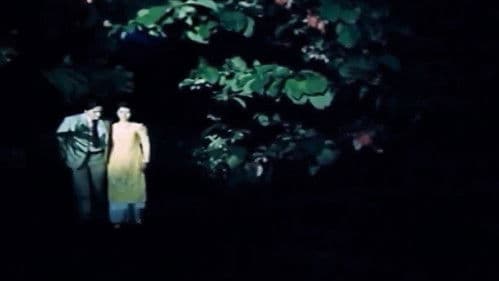 Biệt động Sài Gòn: Trả lại tên cho em Bild 1