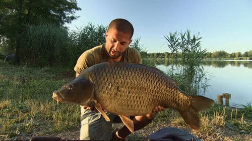 Monster Carp Bild 3