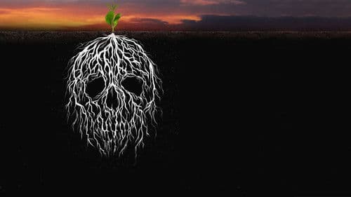 نصيبي وقسمتك Bild 1