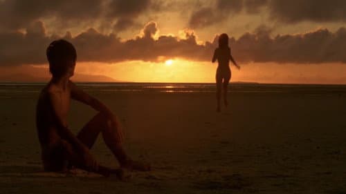 ひと夏の体験 青い珊瑚礁 Bild 2